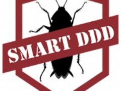 Smart DDD
